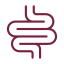 intestino (2) intestino (2)