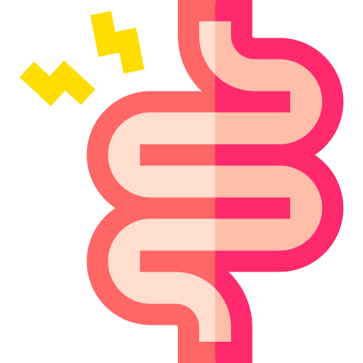 intestino-delgado intestino-delgado